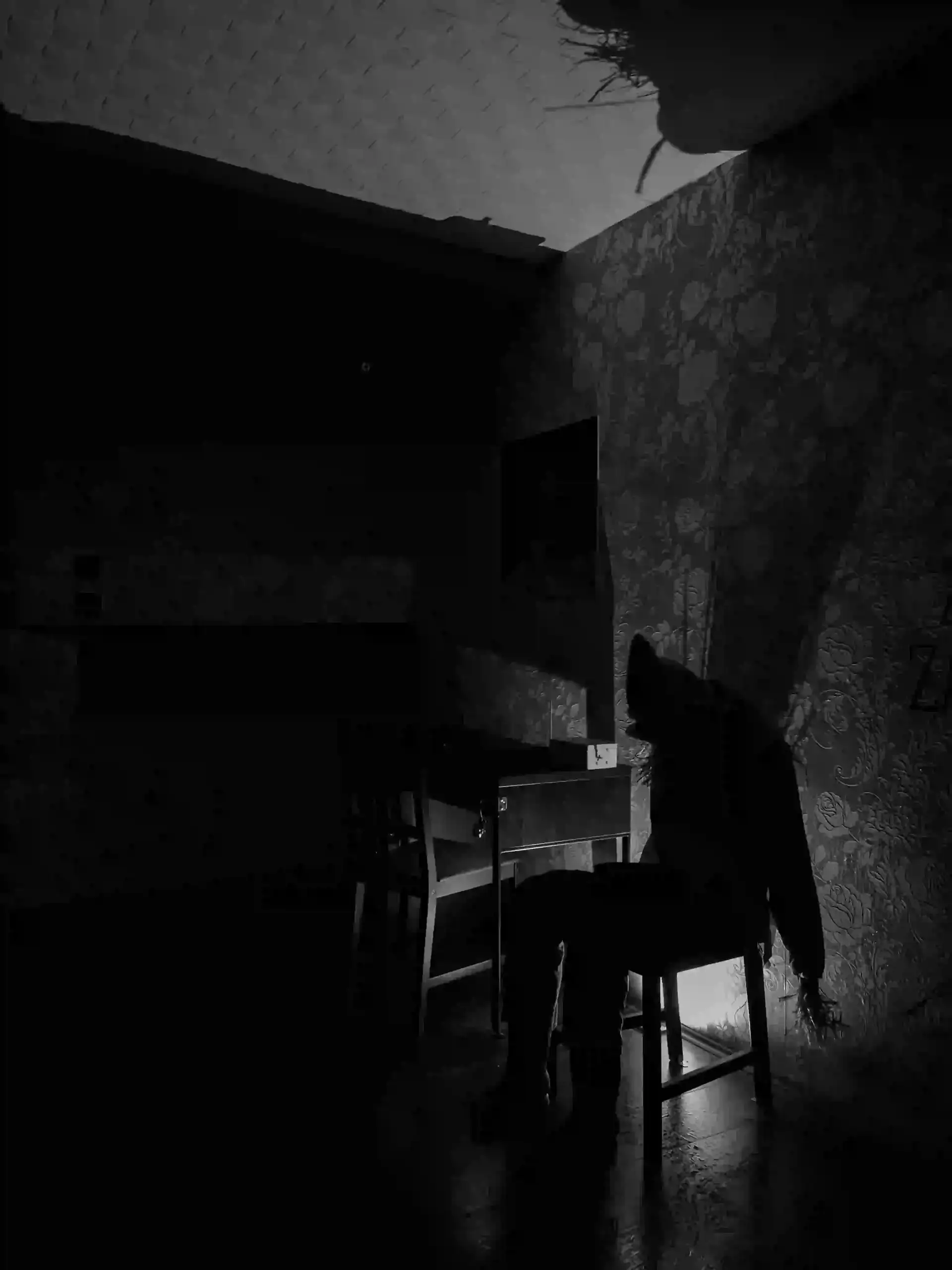 Escape room Beograd Kosmar